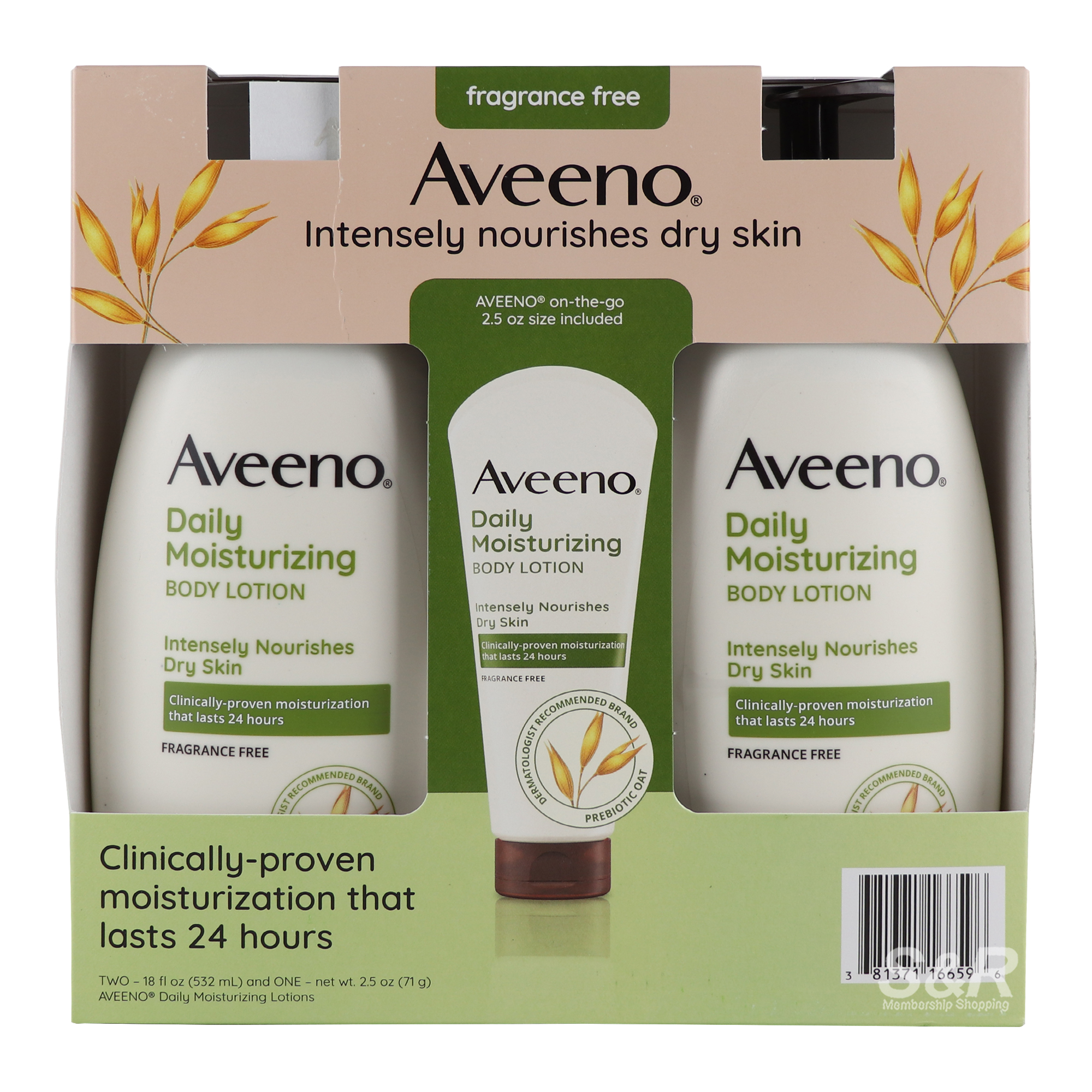 Aveeno Fragrance Free Daily Moisturizing Lotion 1 set